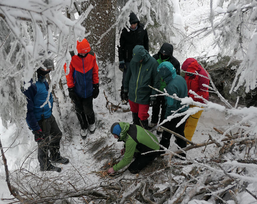 noțiuni de supraviețuire