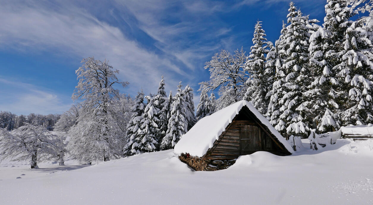 o stână de pe traseu