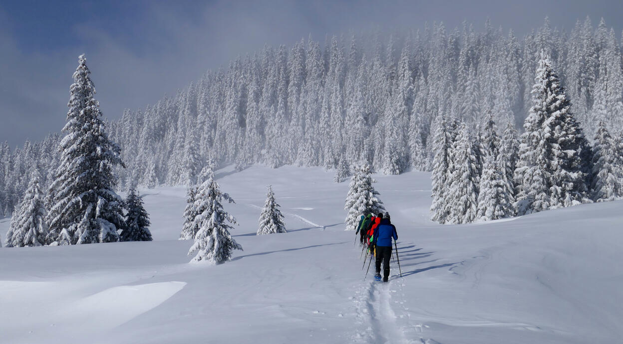 ne croim potecă prin zăpada pufoasă