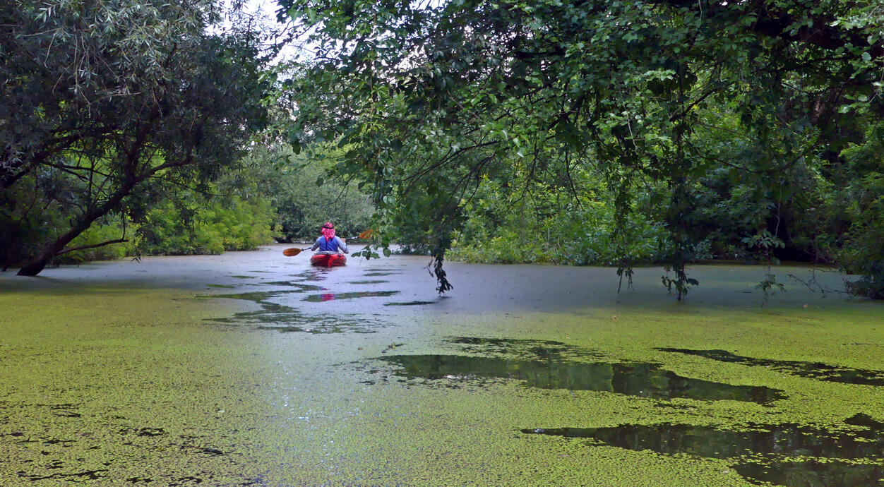 canal în delta Nerei
