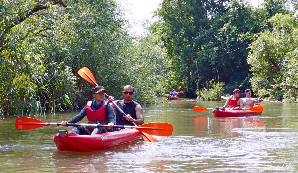 relaxare pe Bega sălbatică
