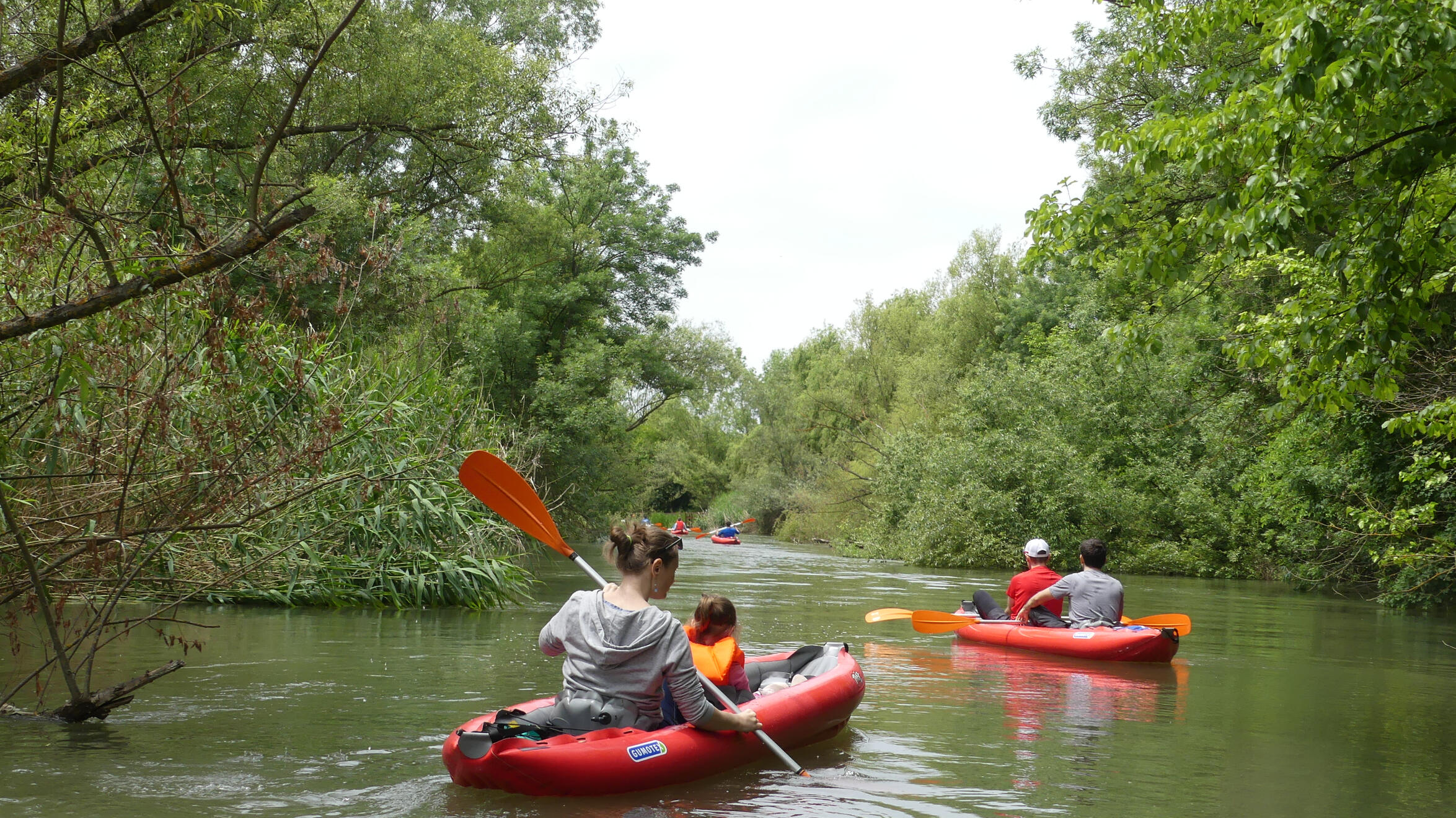 caiace pe Bega sălbatică